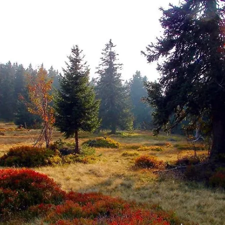 公寓 Waldliebe Spiegelhuette - Am Bach