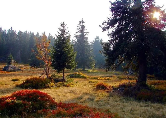 דירה Waldliebe Spiegelhuette - Am Bach